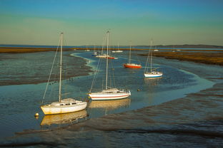 Leyu Sport登录入口-兴隆湖上演“国际艇战”，多国精英争锋