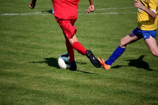 乐鱼体育平台官网-国家女篮训练日程公开每日训练内容紧张高效，国家队女篮在哪里训练